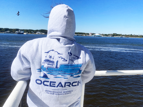 Person wearing mothership hoodie with hood up overlooking water
