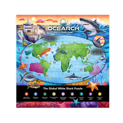 Global White Shark Puzzle